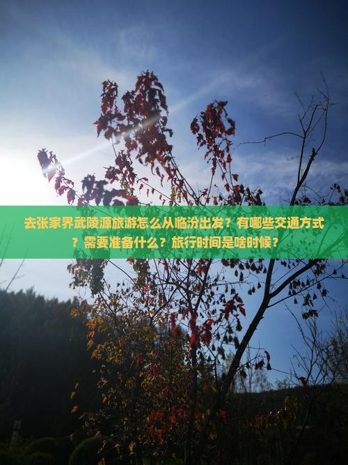 去张家界武陵源旅游怎么从临汾出发?有哪些交通方式?需要准备什么?旅行时间是啥时候? 去张家界武陵源旅游怎么从临汾出发?有哪些交通方式?需要准备什么?旅行时间是啥时候?