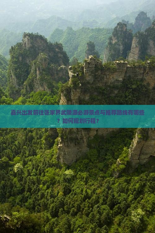 嘉兴出发前往张家界武陵源必游景点与推荐路线有哪些？如何规划行程？