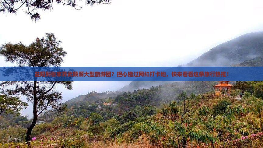 益阳到张家界武陵源大型旅游团？担心错过网红打卡地，快来看看这条旅行热推！