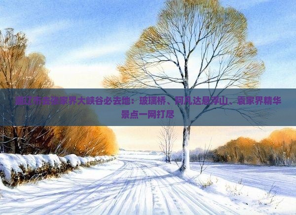 通辽市去张家界大峡谷必去地：玻璃桥、阿凡达悬浮山、袁家界精华景点一网打尽