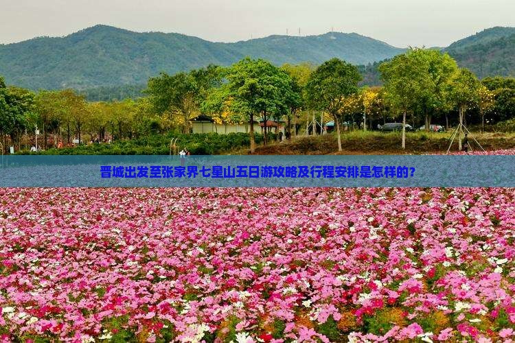 晋城出发至张家界七星山五日游攻略及行程安排是怎样的？