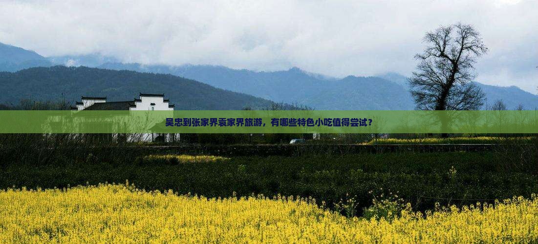 吴忠到张家界袁家界旅游，有哪些特色小吃值得尝试？