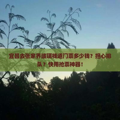 宜昌去张家界玻璃栈道门票多少钱？担心排队？快用抢票神器！