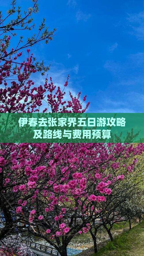 伊春去张家界五日游攻略及路线与费用预算