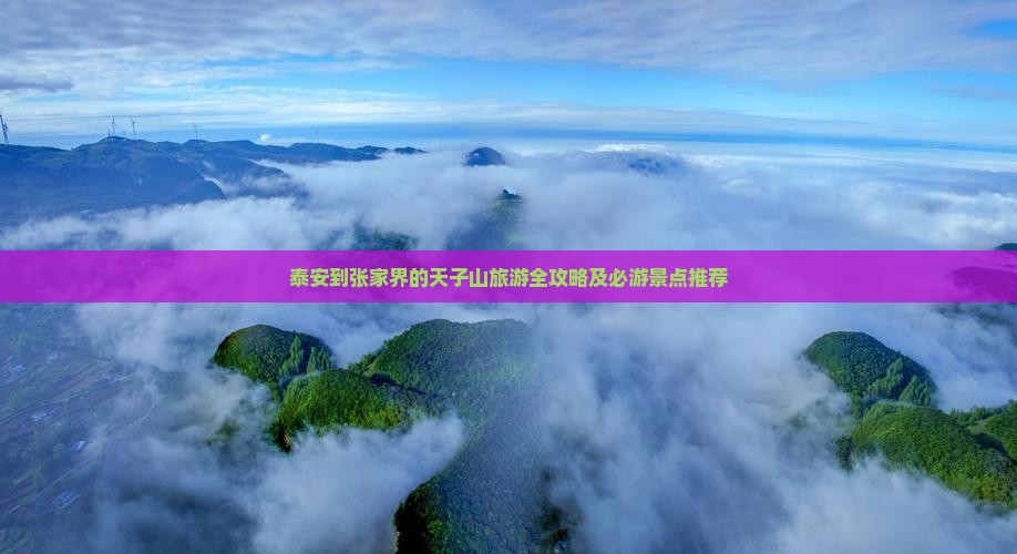 泰安到张家界的天子山旅游全攻略及必游景点推荐