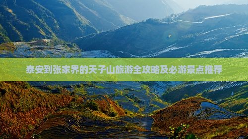 泰安到张家界的天子山旅游全攻略及必游景点推荐