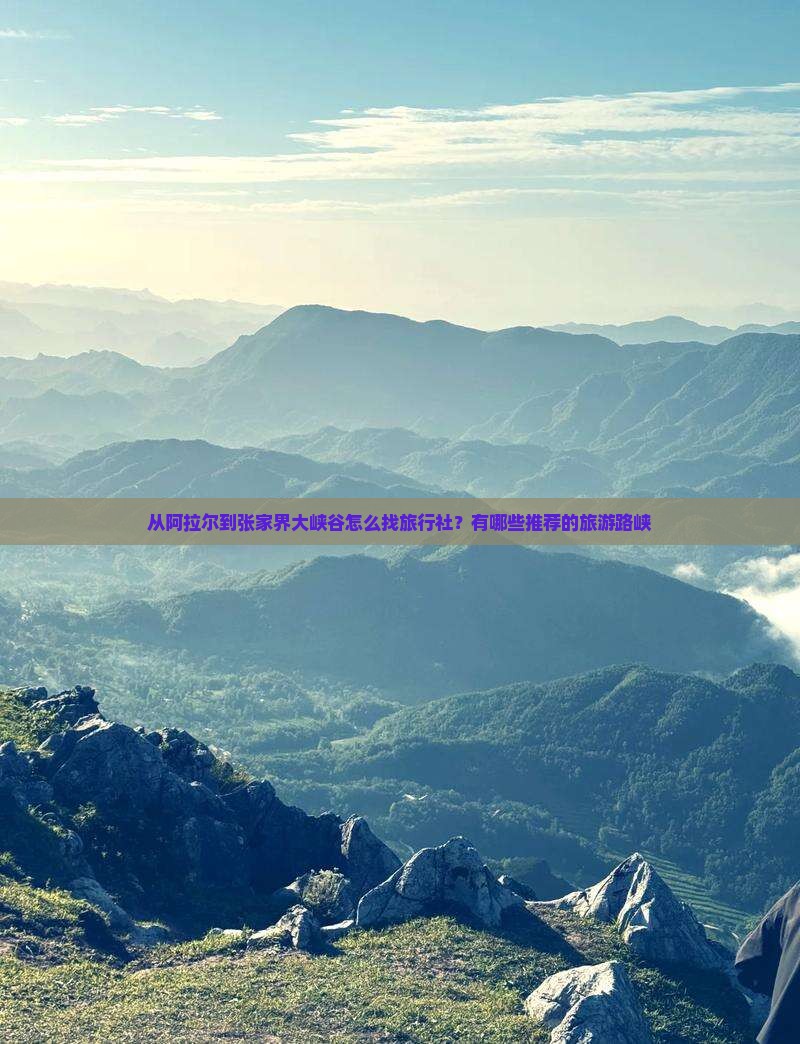 从阿拉尔到张家界大峡谷怎么找旅行社？有哪些推荐的旅游路峡