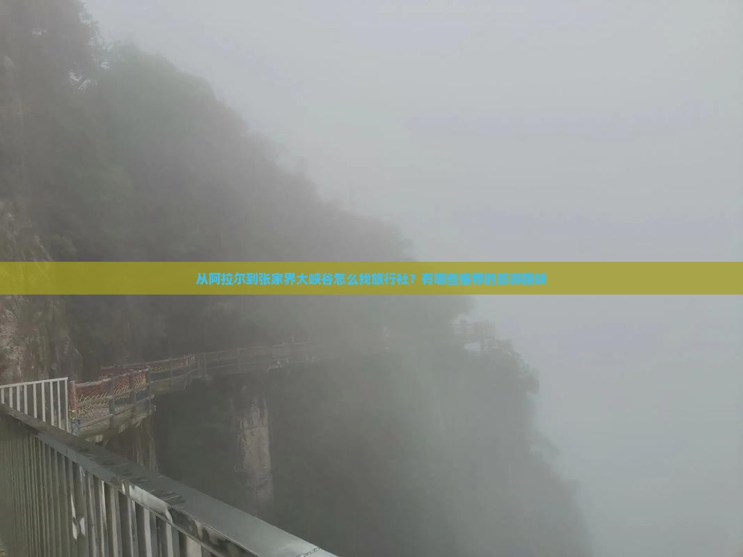 从阿拉尔到张家界大峡谷怎么找旅行社？有哪些推荐的旅游路峡