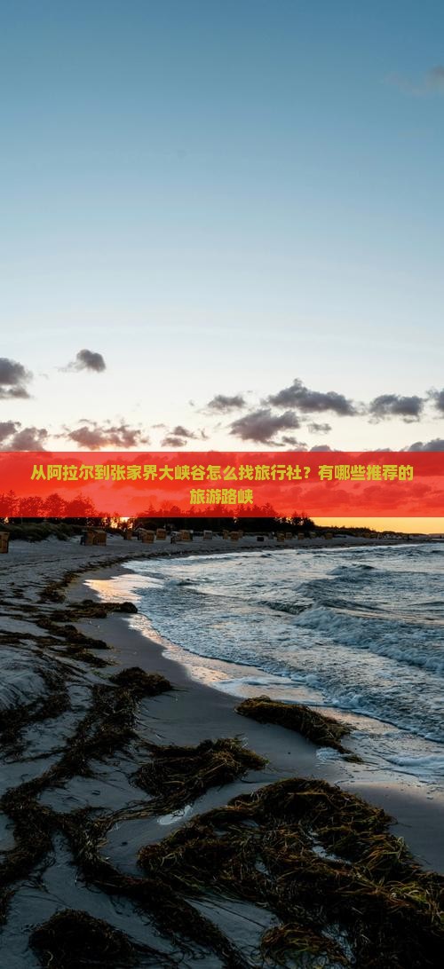 从阿拉尔到张家界大峡谷怎么找旅行社？有哪些推荐的旅游路峡