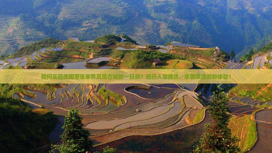 如何实现庆阳至张家界凤凰古城的一日游？避开人潮拥挤，享受深度游新体验！