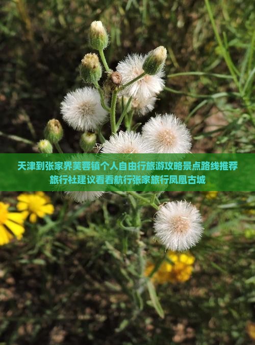 天津到张家界芙蓉镇个人自由行旅游攻略景点路线推荐旅行社建议看看航行张家旅行凤凰古城
