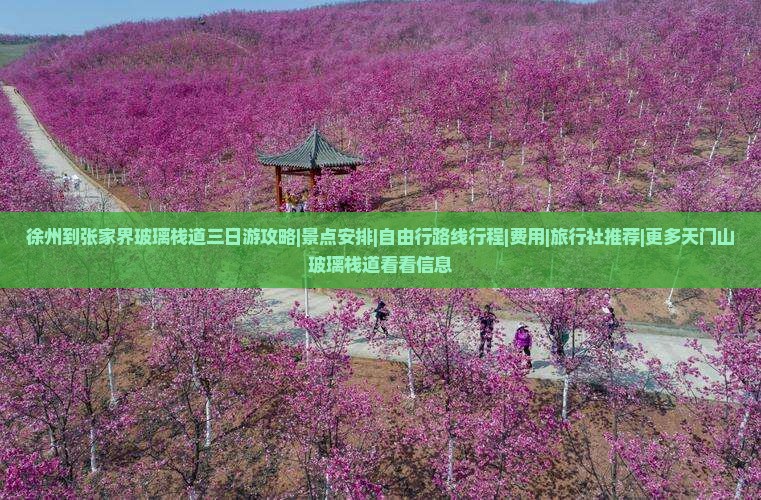 徐州到张家界玻璃栈道三日游攻略|景点安排|自由行路线行程|费用|旅行社推荐|更多天门山玻璃栈道看看信息