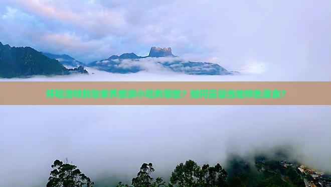 呼和浩特到张家界旅游小吃有哪些？如何品尝当地特色美食？