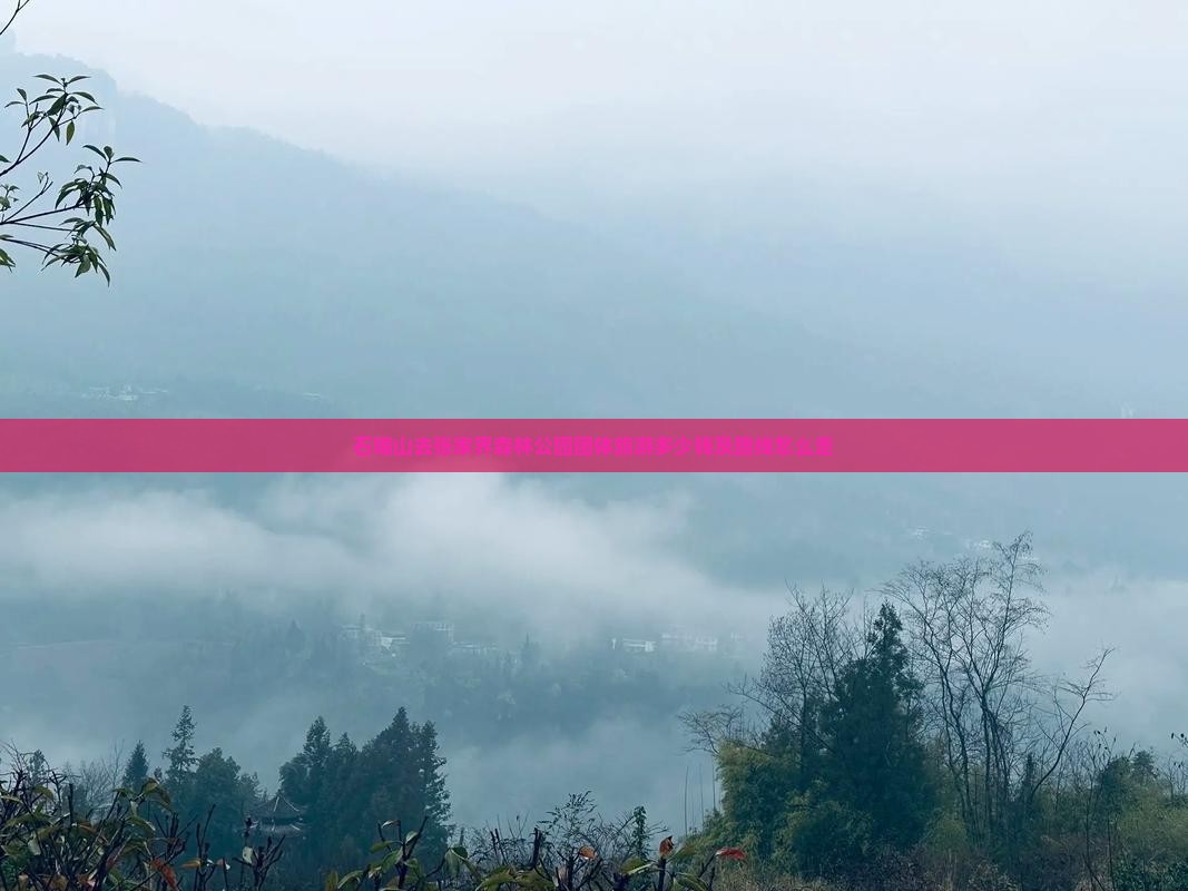 石嘴山去张家界森林公园团体旅游多少钱及路线怎么走