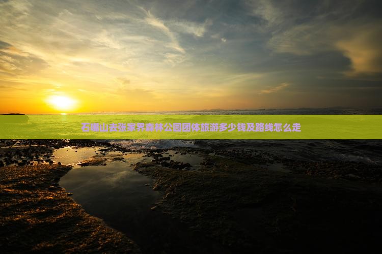 石嘴山去张家界森林公园团体旅游多少钱及路线怎么走