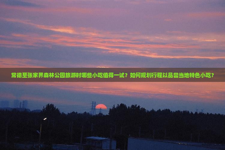 常德至张家界森林公园旅游时哪些小吃值得一试？如何规划行程以品尝当地特色小吃？