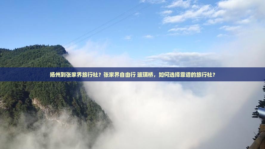 扬州到张家界旅行社？张家界自由行+玻璃桥，如何选择靠谱的旅行社？