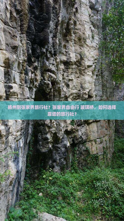 扬州到张家界旅行社？张家界自由行+玻璃桥，如何选择靠谱的旅行社？