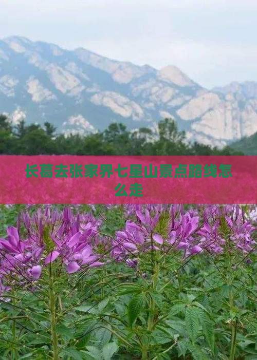 长葛去张家界七星山景点路线怎么走