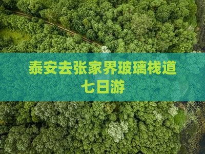 泰安去张家界玻璃栈道七日游 泰安去张家界玻璃栈道七日游