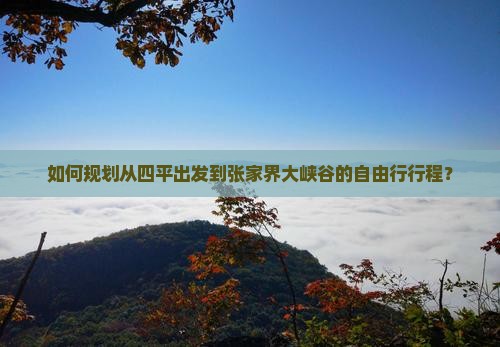 如何规划从四平出发到张家界大峡谷的自由行行程？