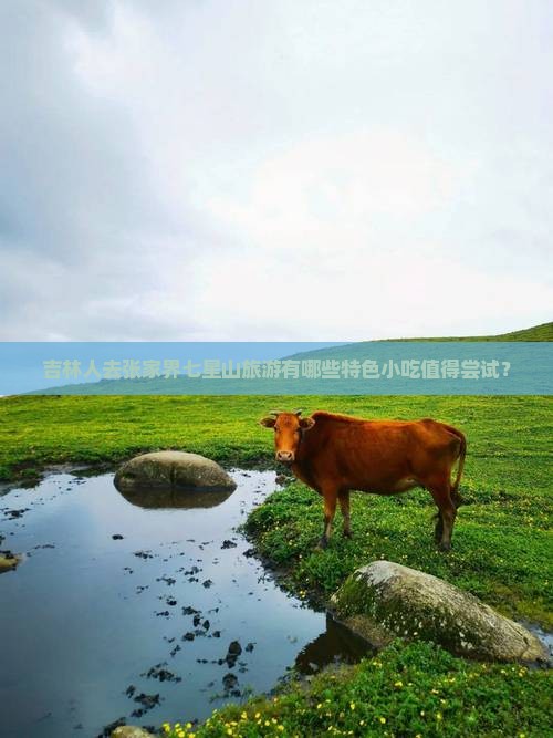 吉林人去张家界七星山旅游有哪些特色小吃值得尝试？