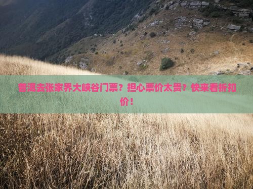 普洱去张家界大峡谷门票？担心票价太贵？快来看折扣价！