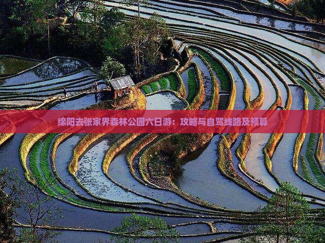 绵阳去张家界森林公园六日游：攻略与自驾线路及预算