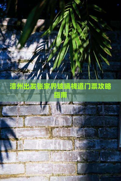 漳州出发张家界玻璃栈道门票攻略指南