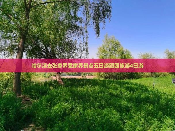 哈尔滨去张家界袁家界景点五日游跟团旅游4日游