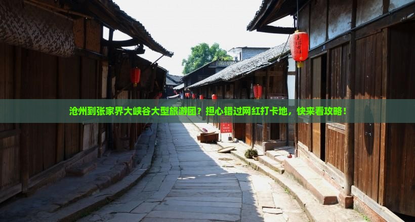 沧州到张家界大峡谷大型旅游团？担心错过网红打卡地，快来看攻略！