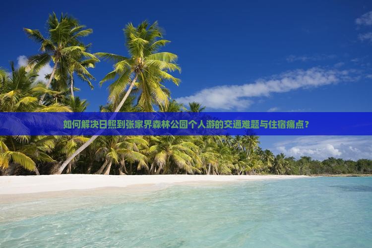 如何解决日照到张家界森林公园个人游的交通难题与住宿痛点？