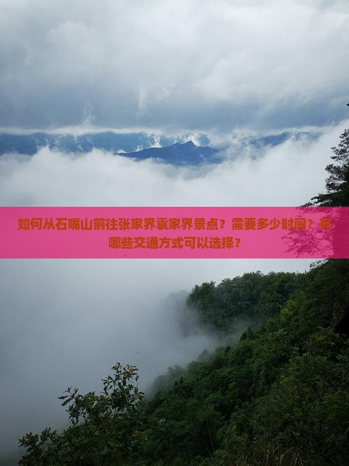 如何从石嘴山前往张家界袁家界景点？需要多少时间？有哪些交通方式可以选择？