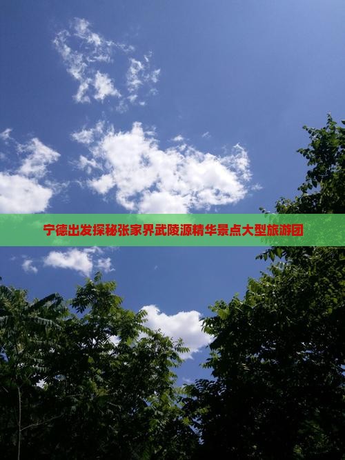 宁德出发探秘张家界武陵源精华景点大型旅游团