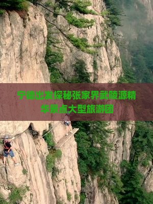 宁德出发探秘张家界武陵源精华景点大型旅游团