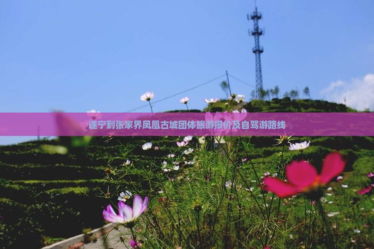 遂宁到张家界凤凰古城团体旅游报价及自驾游路线