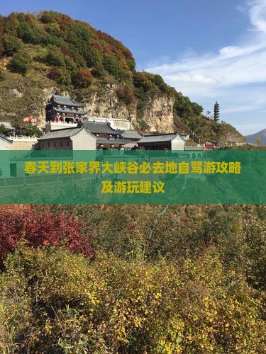 春天到张家界大峡谷必去地自驾游攻略及游玩建议