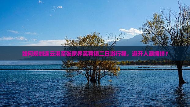 如何规划连云港至张家界芙蓉镇二日游行程，避开人潮拥挤？
