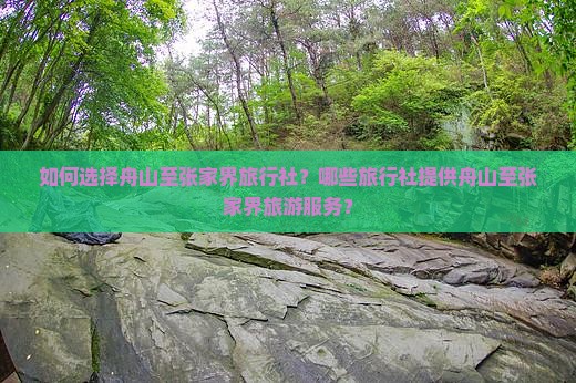 如何选择舟山至张家界旅行社？哪些旅行社提供舟山至张家界旅游服务？