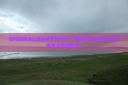 如何选择舟山至张家界旅行社？哪些旅行社提供舟山至张家界旅游服务？