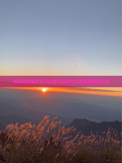 庆阳到张家界天子山旅行社多少公里及路线怎么走