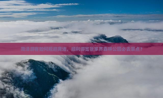 菏泽游客如何规避拥堵，顺利游览张家界森林公园必去景点？