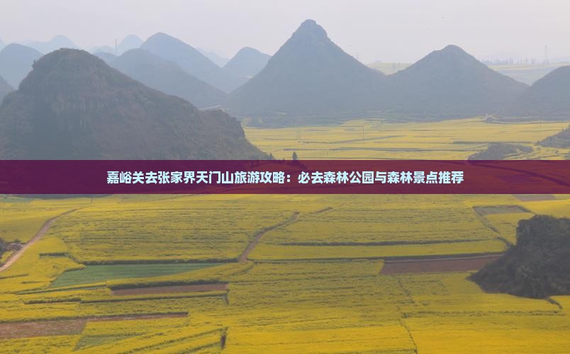 嘉峪关去张家界天门山旅游攻略：必去森林公园与森林景点推荐