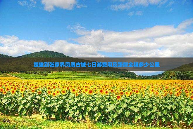楚雄到张家界凤凰古城七日游费用及路犀全程多少公里