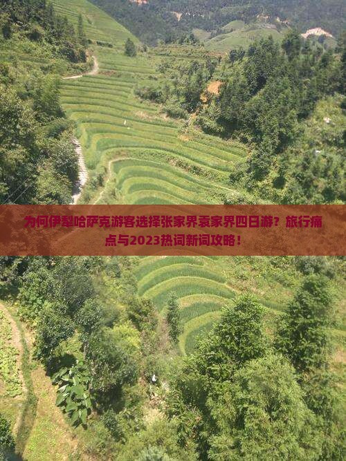 为何伊犁哈萨克游客选择张家界袁家界四日游？旅行痛点与2023热词新词攻略！