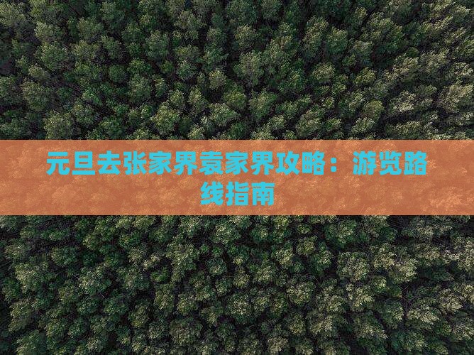 元旦去张家界袁家界攻略：游览路线指南