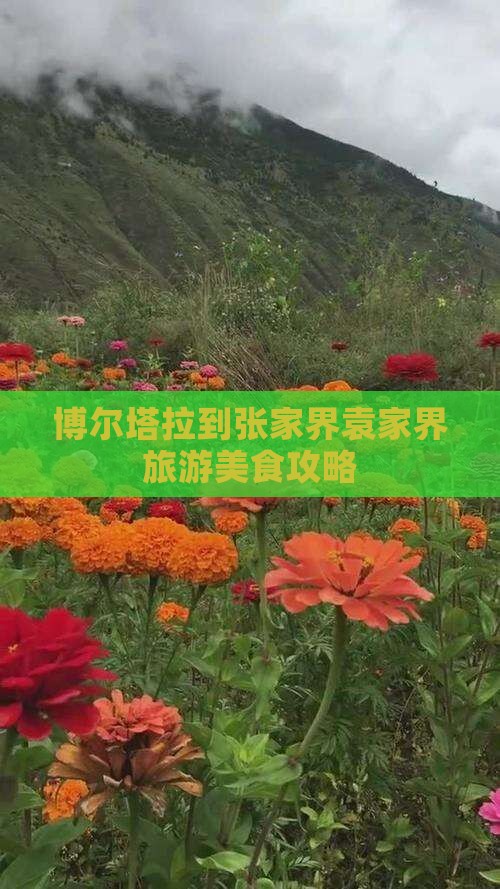 博尔塔拉到张家界袁家界旅游美食攻略