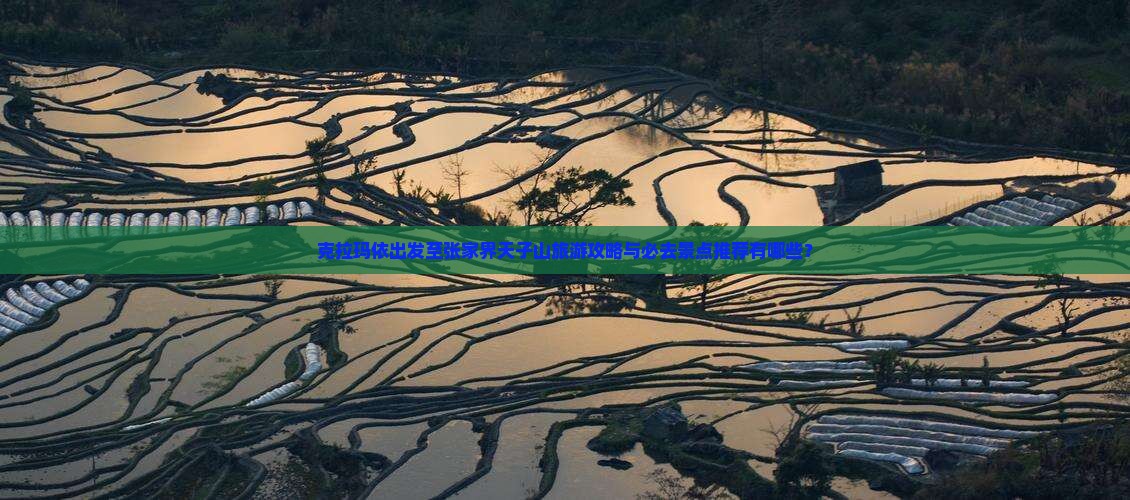 克拉玛依出发至张家界天子山旅游攻略与必去景点推荐有哪些？