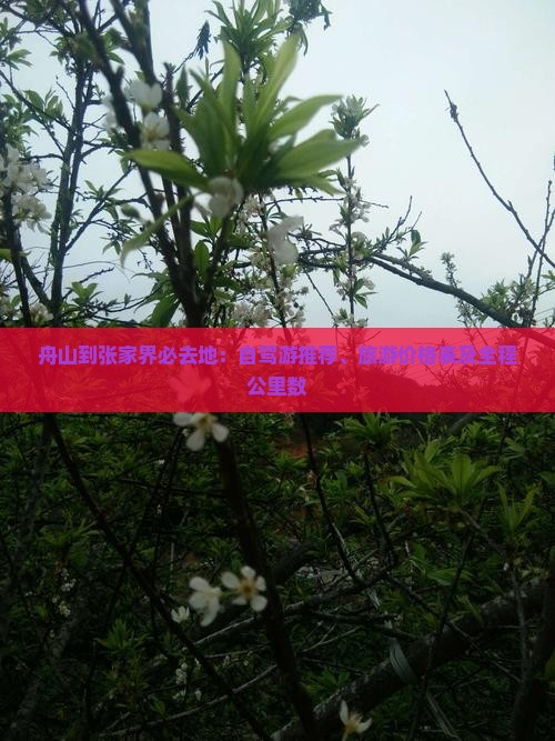 舟山到张家界必去地：自驾游推荐、旅游价格表及全程公里数