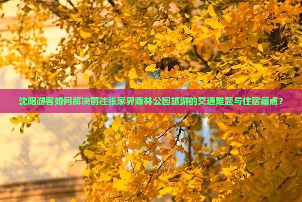 沈阳游客如何解决前往张家界森林公园旅游的交通难题与住宿痛点？